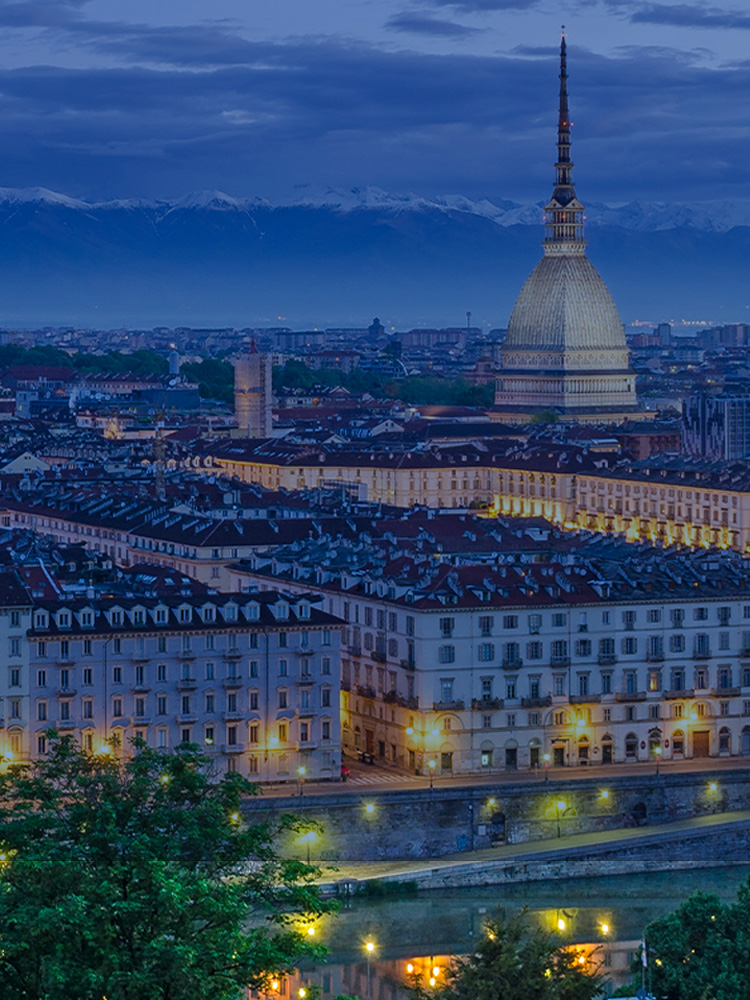 Immagine techsasrs con panorama di torino