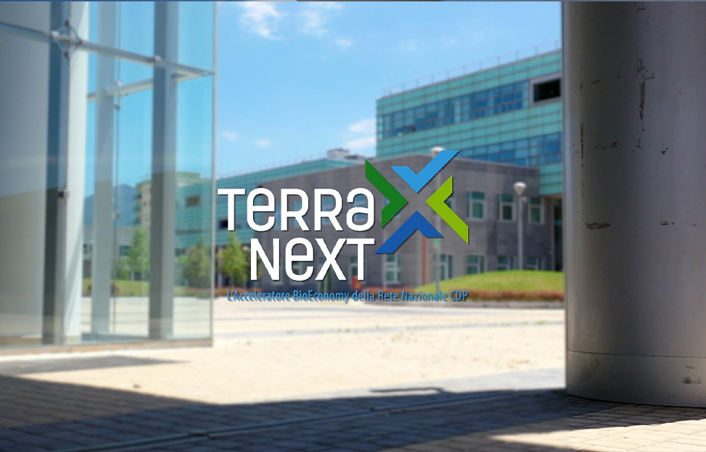 Demo Day Terra Next - ingresso