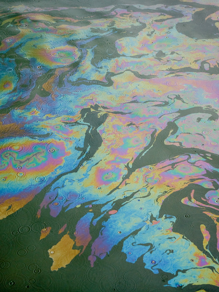 Oil in the sea